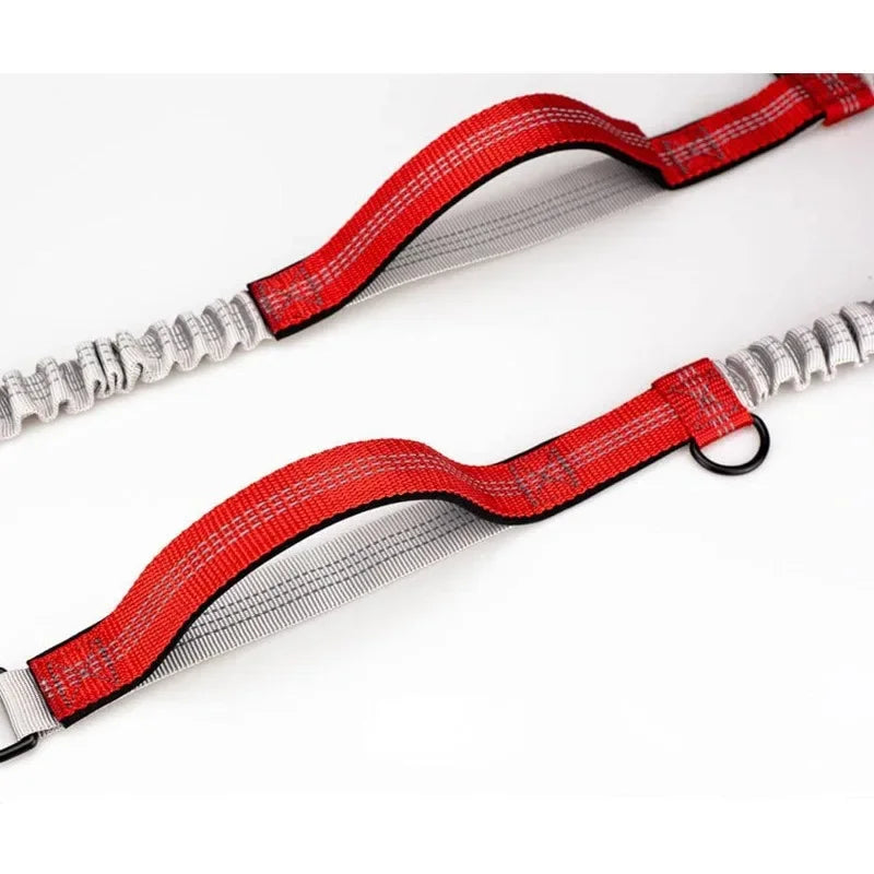 FlexiRun Leash - Run with your pet. Hands-free. Worry-free.