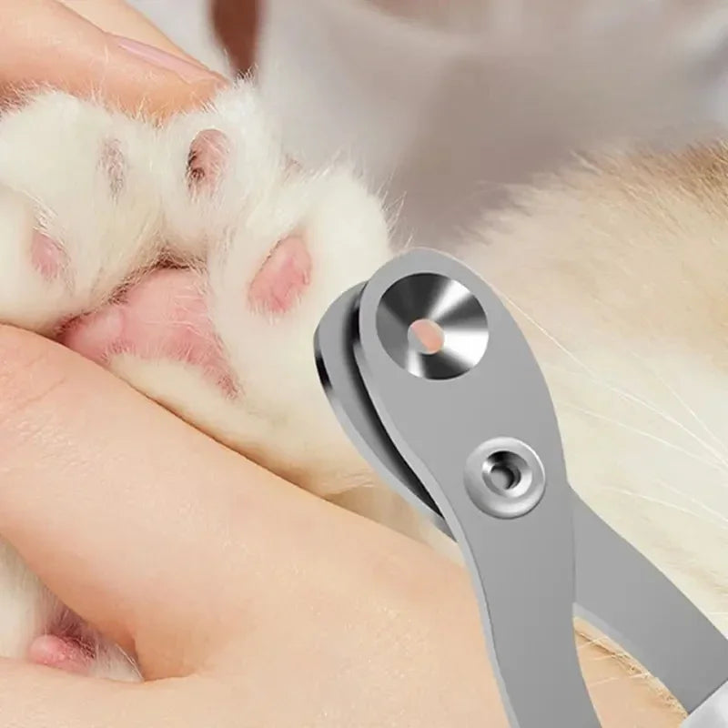 PawTrim - Precision trimming for paws big and small.