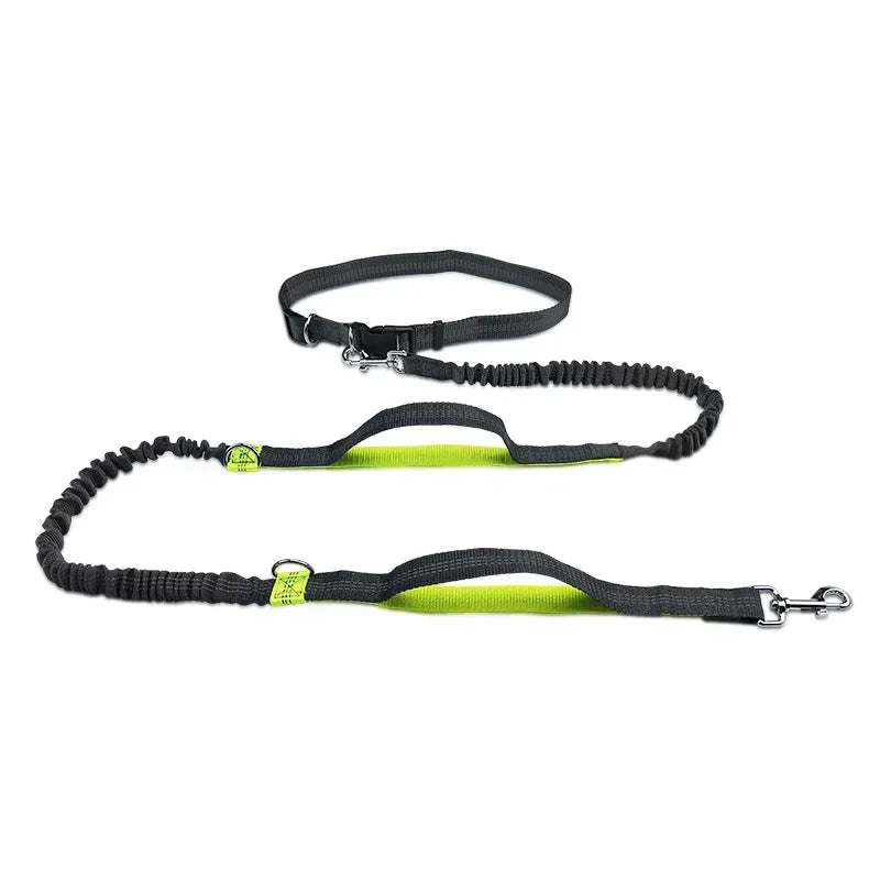 FlexiRun Leash - Run with your pet. Hands-free. Worry-free.
