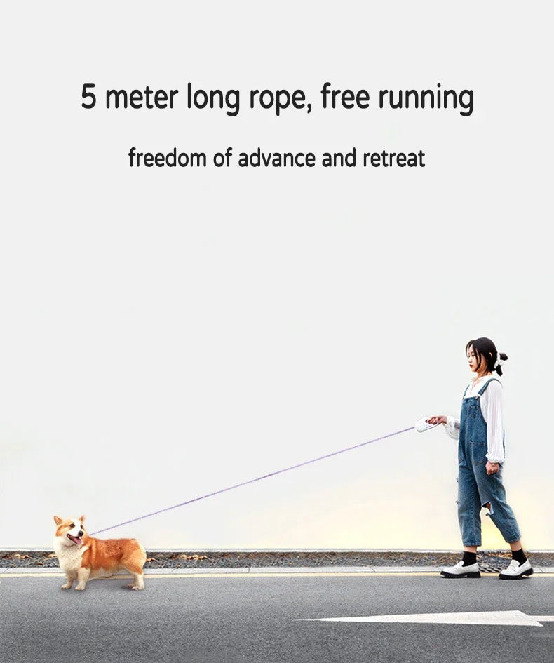 GlowLeash - Walk safely. Day or night.