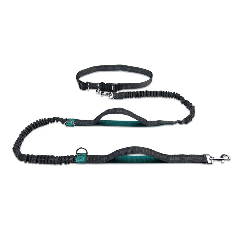 FlexiRun Leash - Run with your pet. Hands-free. Worry-free.
