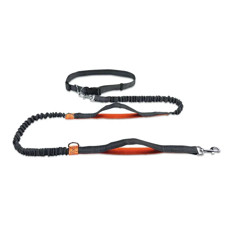 FlexiRun Leash - Run with your pet. Hands-free. Worry-free.
