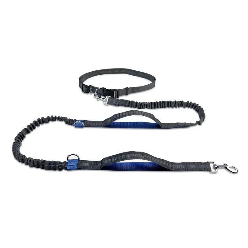 FlexiRun Leash - Run with your pet. Hands-free. Worry-free.
