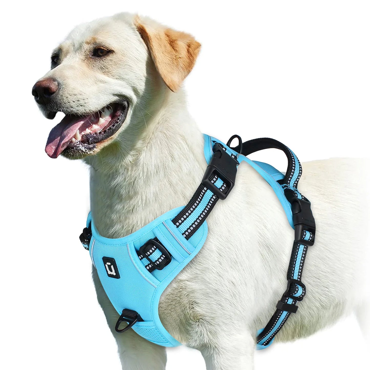 ControlFit – No-Pull Adjustable Dog Harness with Soft Padded Vest