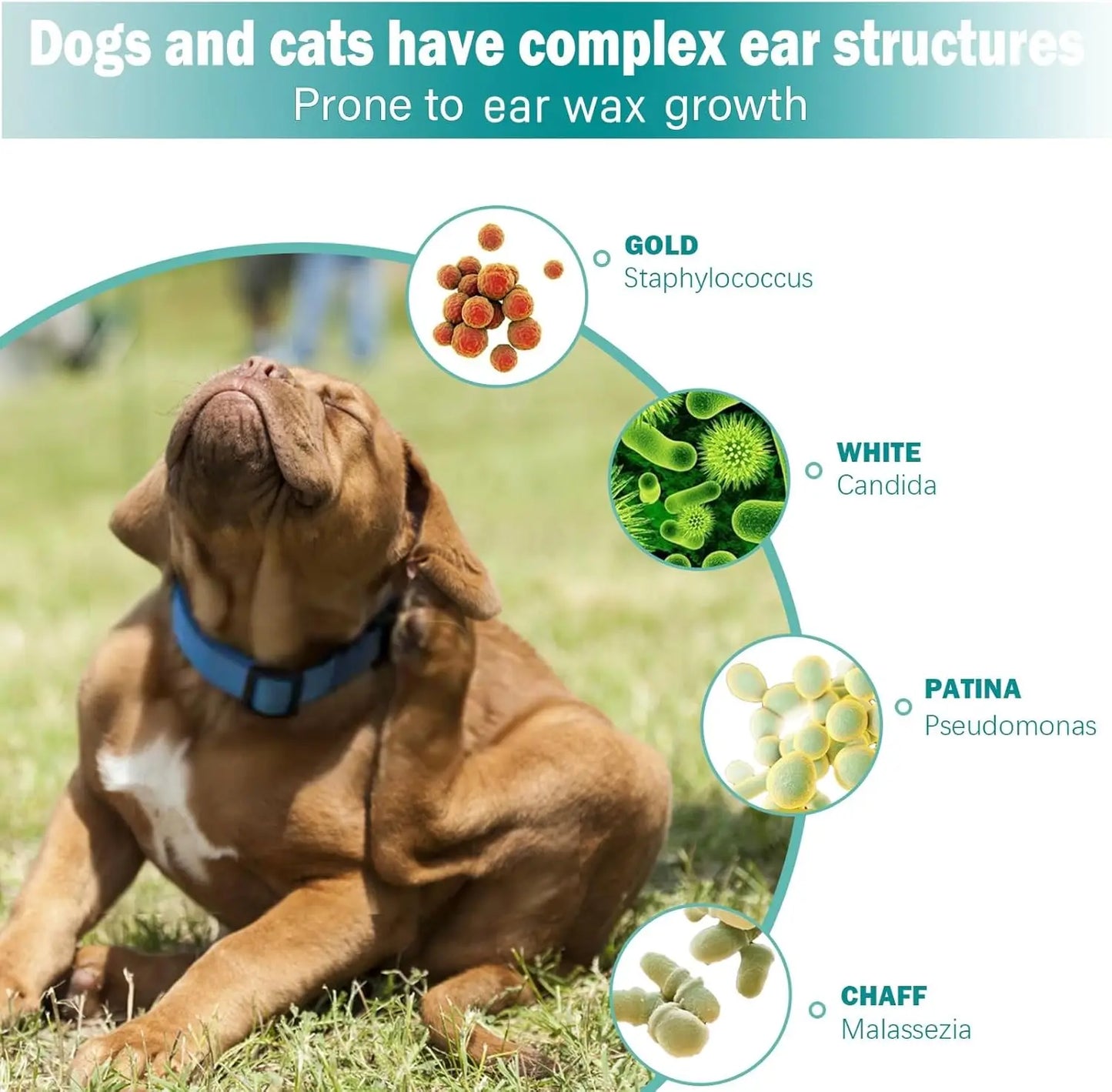 CleanPaws – Pet Ear Wipes for Dogs & Cats