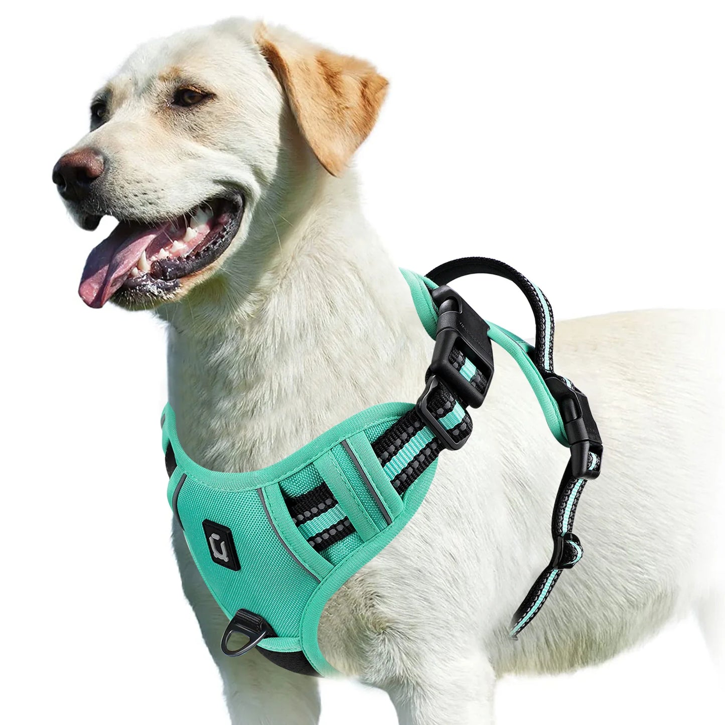 ControlFit – No-Pull Adjustable Dog Harness with Soft Padded Vest
