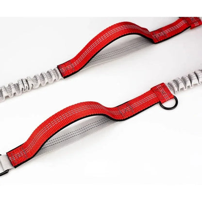 FlexiRun Leash - Run with your pet. Hands-free. Worry-free.