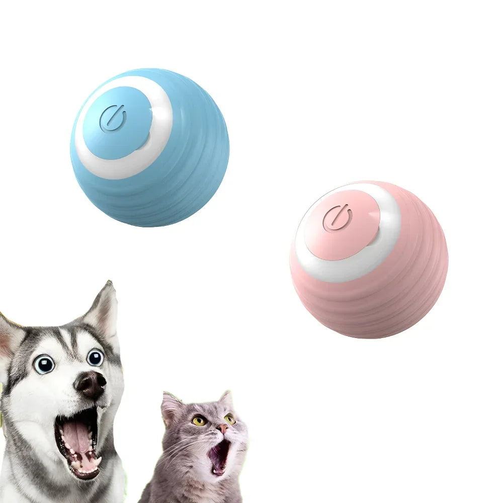 ChaseMe Ball – Smart Rolling Toy for Cats