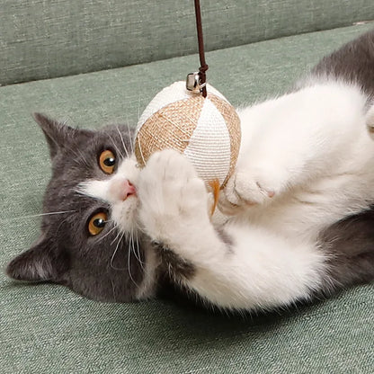 Teaser Feather Wand Toy for Cats