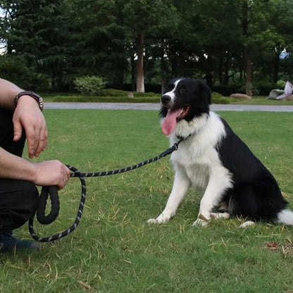 GlowGrip – Reflective No-Choke Dog Leash