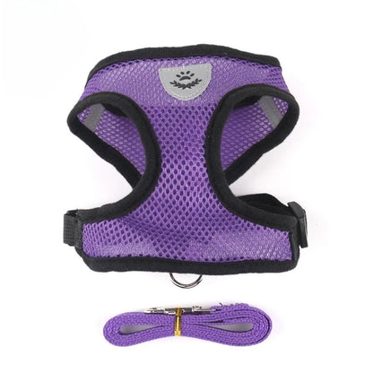Breathable Reflective Pet Harness & Leash Set