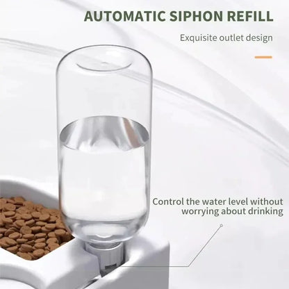 HydraPaws – Automatic Drinking & Feeding Bowl