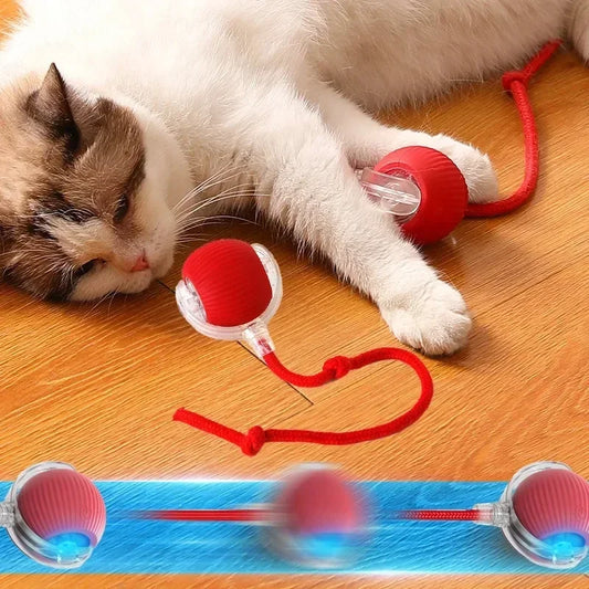 PounceBall - Chase. Bat. Bounce. Repeat.
