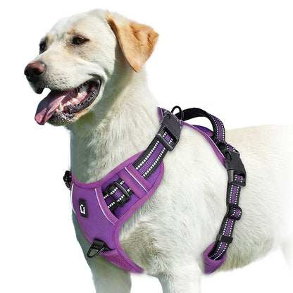 ControlFit – No-Pull Adjustable Dog Harness with Soft Padded Vest