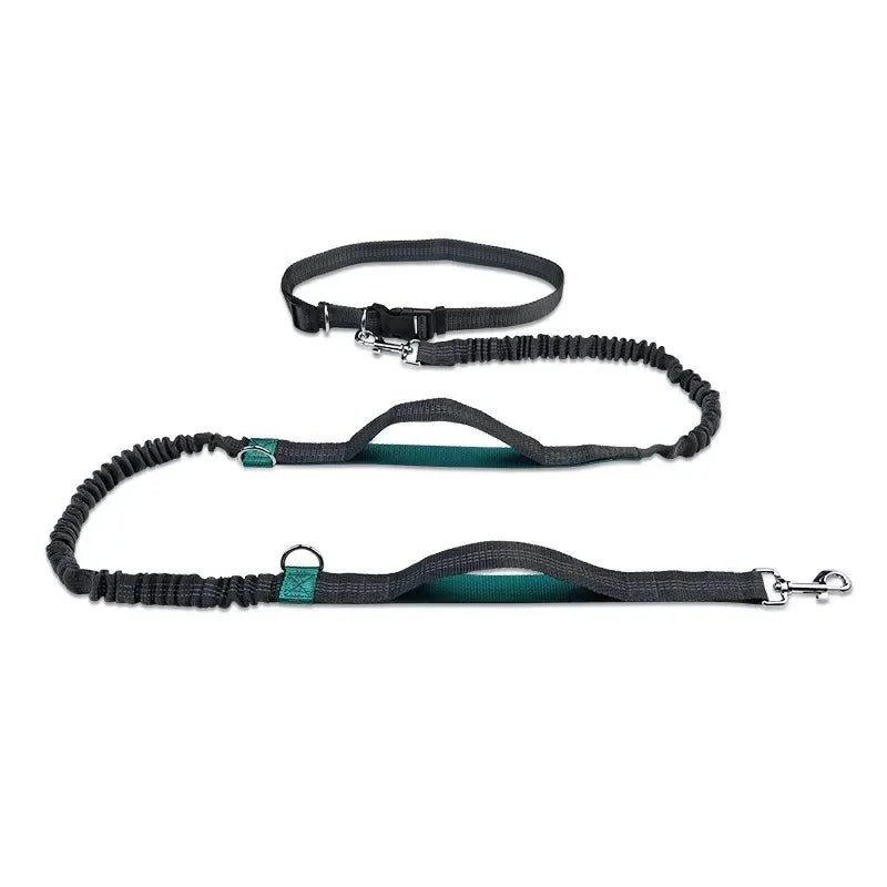 FlexiRun Leash - Run with your pet. Hands-free. Worry-free.
