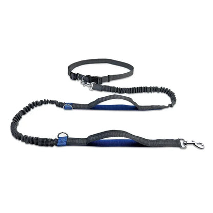FlexiRun Leash - Run with your pet. Hands-free. Worry-free.
