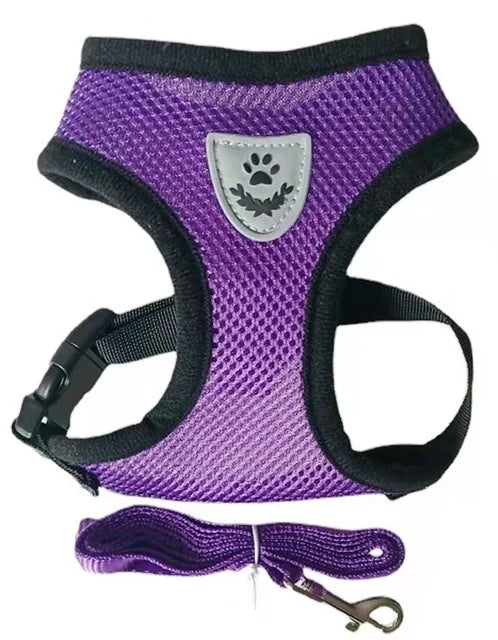 Breathable Reflective Pet Harness & Leash Set