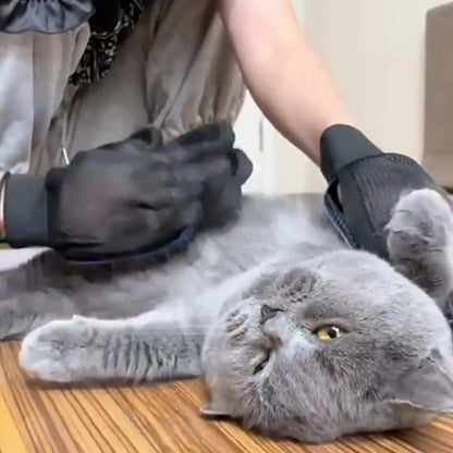 Silicone Pet Grooming & Bathing Glove